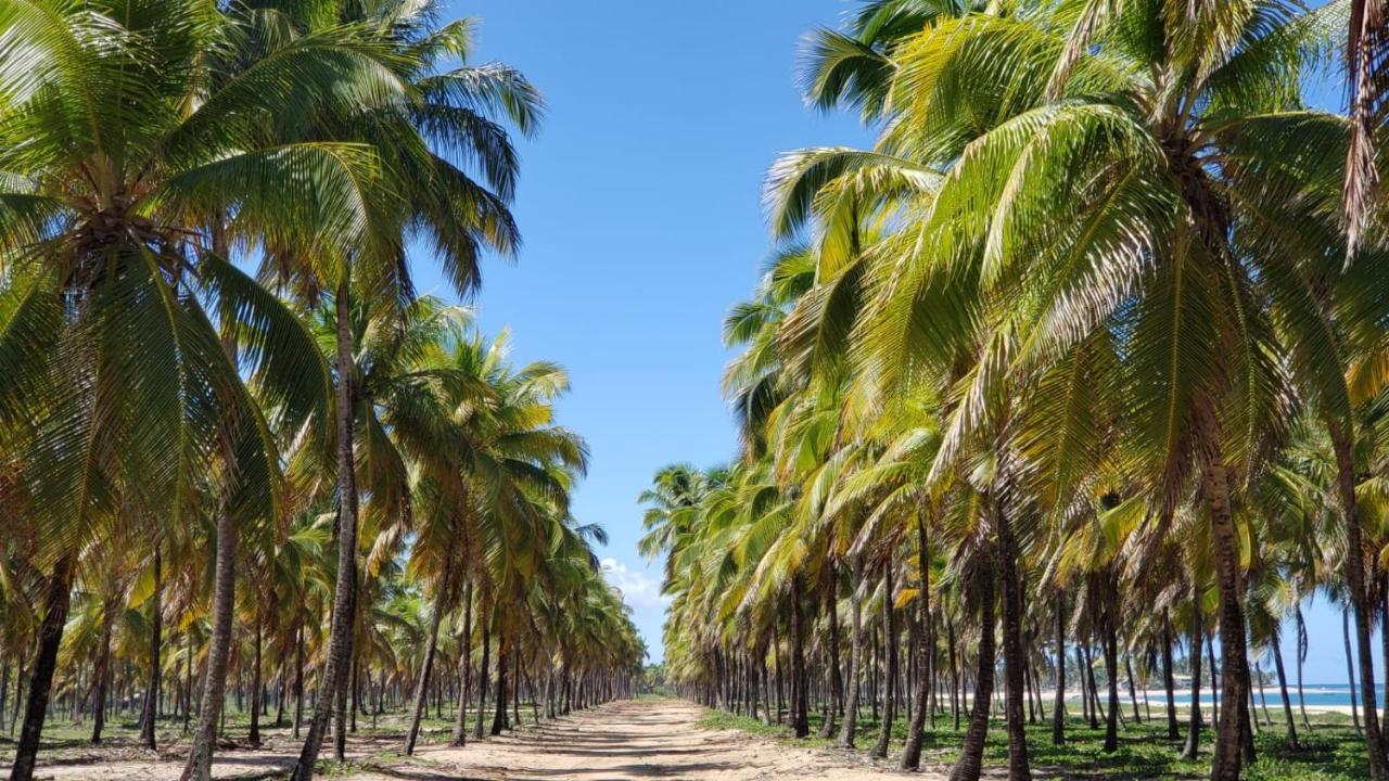 شقة Solar Teixeira Residencial Pôrto das Galinhas المظهر الخارجي الصورة